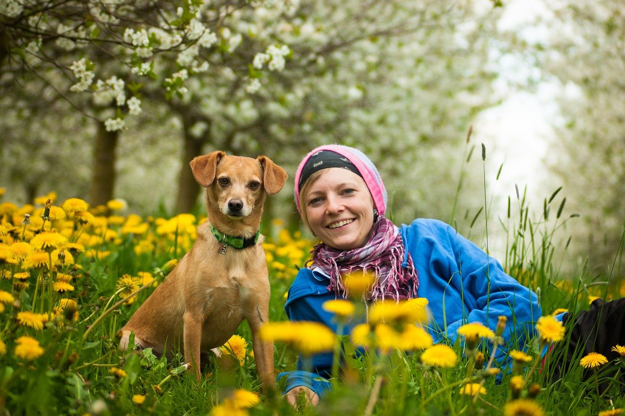 team, woman, pet, animal, dog, human, portrait, a dog-human team, teamwork, together