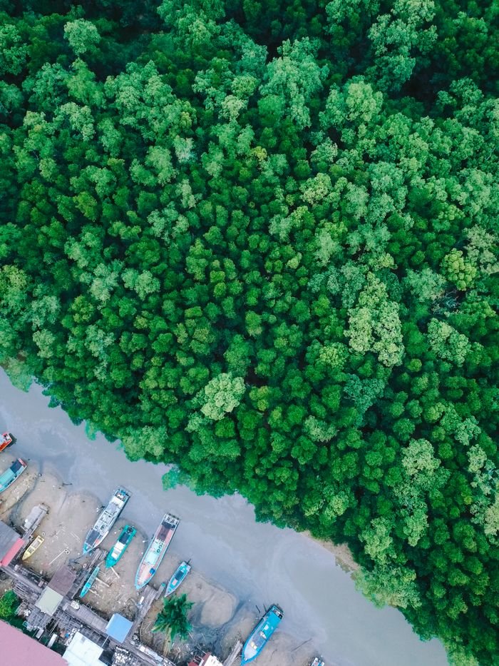 A stunning aerial shot capturing boats docked along a river and a dense green forest in Chukai, Terengganu.