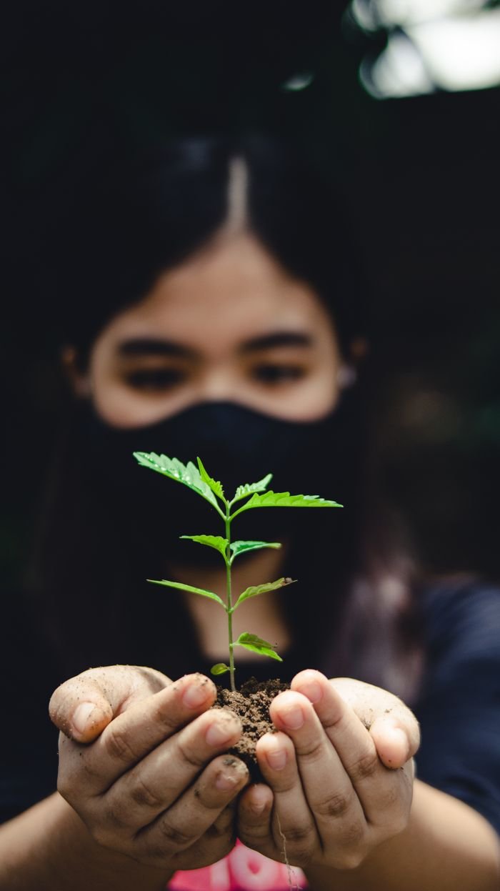 Close-up of a woman holding a small seedling, symbolizing growth and nature.